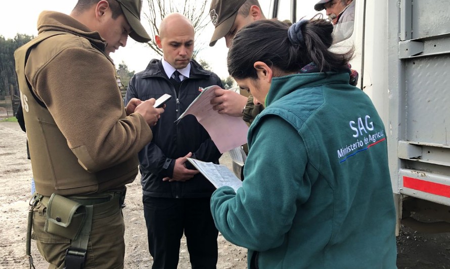 Gobernador Alonso Pérez de Arce informó disminución del delito de abigeato en la Provincia del Ranco